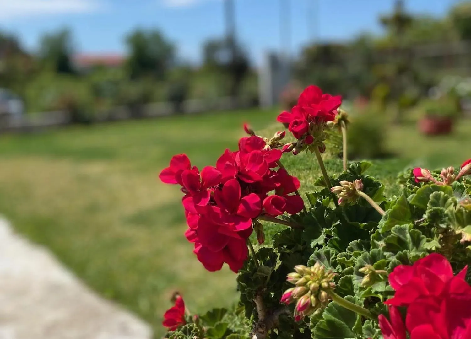Holiday home Hοme4U Villa Nea Kallikrateia